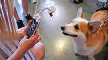 Load image into Gallery viewer, Pet Selfie Stick