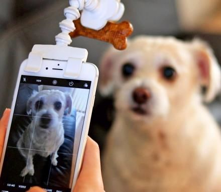 Pet Selfie Stick